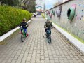 ZBicicletei (8)