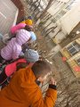 Zpasarilor1nr (35)